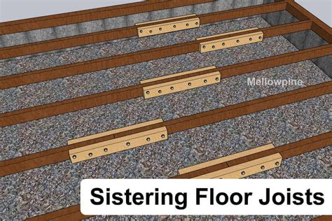 Sistering floor joists. Things To Know About Sistering floor joists. 